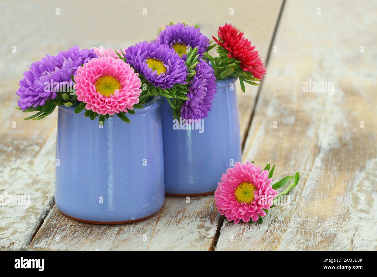 Colorful daisies in blue vase on wooden surface with copy space Stock Photo