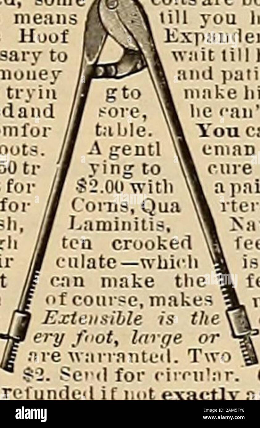 Breeder And Sportsman Hftnt Drive A Lame Hors Iwui J Gt Ih I Think Krjij Ie Is Young Hid Fcetum V Not Be Contracted Somemore Expensive Mean Leys Extensible Hooffail Not Necessary