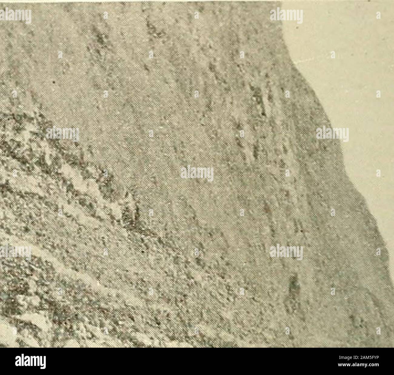 Scientific confirmations of Old Testament history . g fragments ofthe ...
