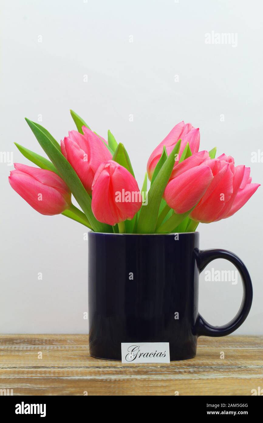 Gracias (thank you in Spanish) card with pink tulips in navy blue coffee mug Stock Photo