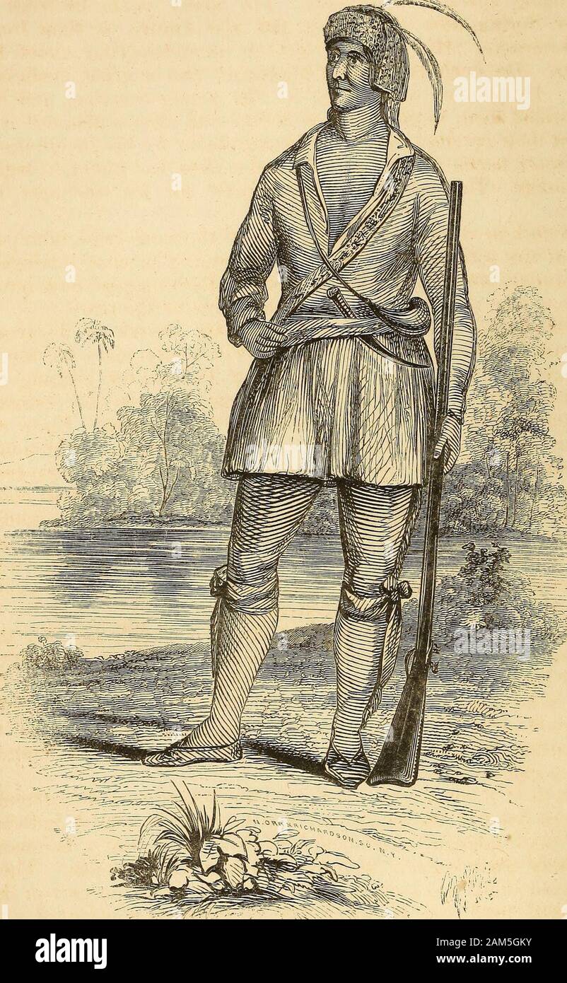 The Origin Progress And Conclusion Of The Florida War To Which