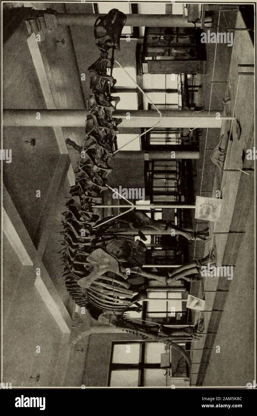 General guide to the exhibition halls of the American Museum of Natural ...