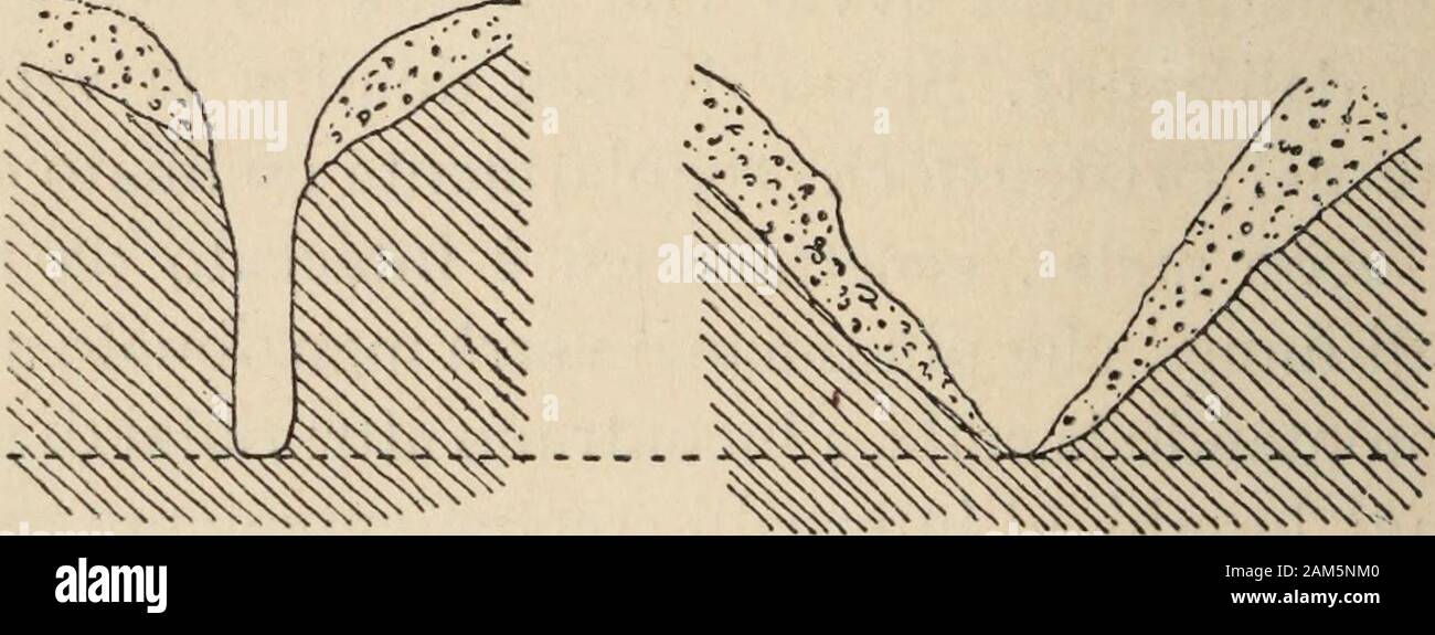 Le bellezze della svizzera : descrizione del paesaggio e sue cause geologiche . azione dellacqua e del ghiaccio, mentre il lato versola valle è rimasto ripido e scabro. Fra due di queste scogliere il Fellibach sbocca nellaReuss. Qui, la valle della Reuss si trova ad unaltezzadi 713 metri. Un sentiero molto scosceso conduce sualle case di Felliberg, ed al di là linclinazione diventapiù leggiera. Il ponte a Pfaffensprung, sotto Wasen, attraversa pureuna gola verticale, profonda oltre 30 metri. Qui la Reussdi Meien, dalla soprastante valle di Meien, raggiungela valle in un taglio profondo. 374 Ge Stock Photo