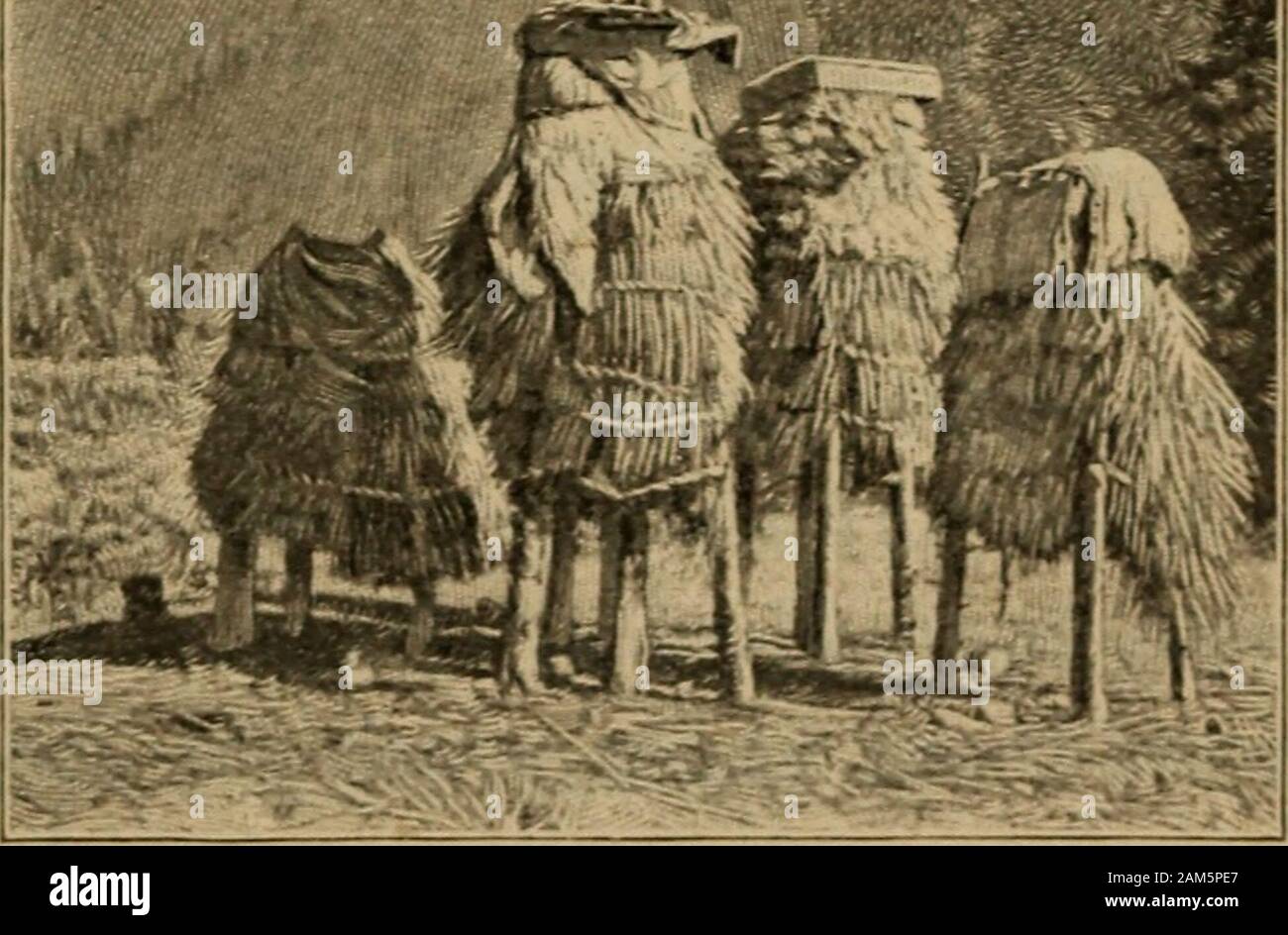 The Spanish in the Southwest . La Purisima Concepcion Santa Cruz Soledad  San Jose San Juan Bautista San Miguel San Fernando San Luis Rey Santa Inez  . San Rafael San Francisco de