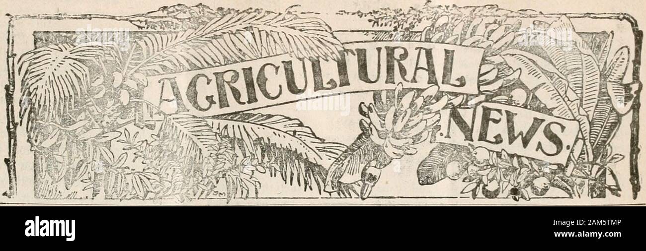 Agricultural news . INDIAN AGENTS. .&lt;!. KITI.-;: S. L. Ilnisfi.r.l A Cii. .VNTliir.A: I?iiiiietl. Ihysoii iV Co. .lA.Mll A: I. HeiuUiseii .V Co.. Kingston. n. HiinKey .V Co. HAIUUlXiS: i;.iih:uliis Cn ,.|ieialive Cotton &lt;o., Ltd. 1! A II A MAS: H. T. Riiee. Niissau. TKINIDAli: 1. (iidiks tiiiiiit, litd., Port-of-Spaiii. I!I!1TISH (JIJANA: .Saiidlmeli. Iarkor »t Co. ST. IN(KNT: Coiea A Co., Kingstown. Portuguese West Africa, Egypt, Argentine Republic, Queensland, ,jjEiUfAN NIliiilN I.SLAM)S:ii.ii..siiiMiegelo«,.st.Croix. ]M&gt;iMIM(A: Hon. H. A. Kiainpidn. ST. UCIA: IlaiMMil Sniis .V Co Stock Photo