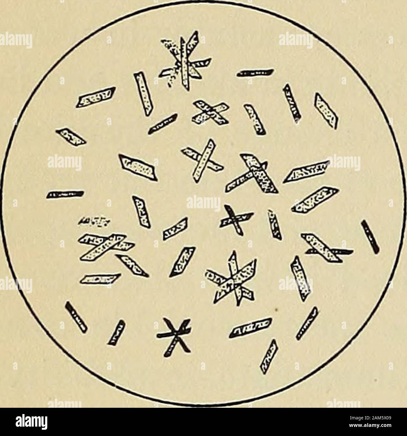 Laboratory manual for the detection of poisons and powerful ...