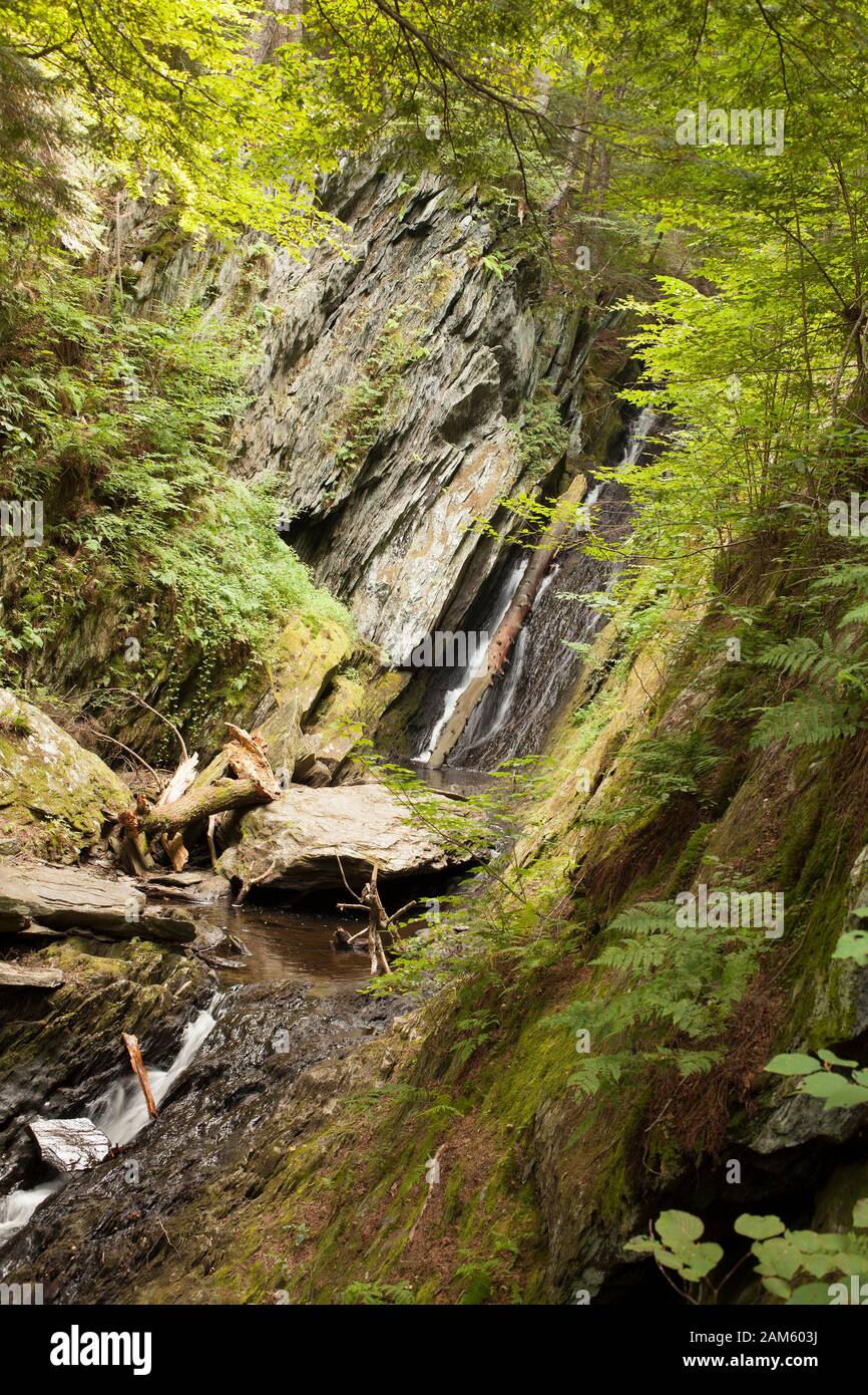 Tannery Falls waterfalls in Savoy Mountain State Park, Savoy