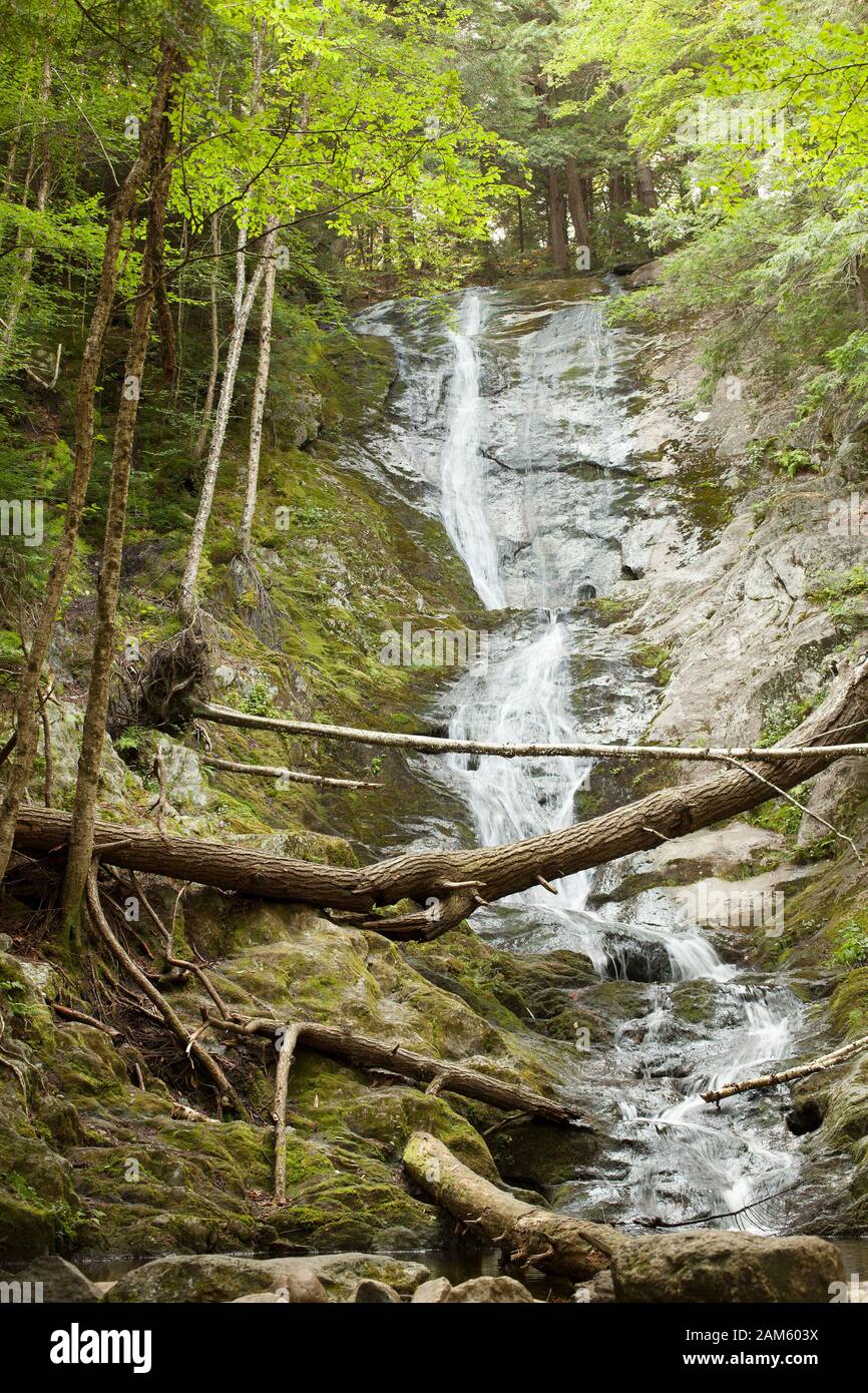 Tannery Falls waterfalls in Savoy Mountain State Park, Savoy