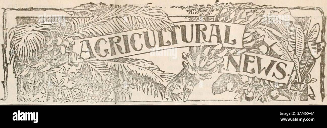Agricultural news . , &lt;;i{K.N.li.: riiouiMii, liankiy »v Co. r.KBAD(l.;:,r..iih;ulo.s C&lt;npiiiilivc Cotton Co., AA. Nyasaland, Swaziland, Southern Rhodesia, Madagascar, BAHAM..&lt;: H. T. Bncu. Nassau. THINIPAI): T. (Jcldis ain. British East Africa, German East Africa, Portuguese East Africa. liUlTl.sH (JilANA: Saii&lt;ll»uli, Iarkor A Co. - fi ST. VlNiklNT: C&lt;.iva .VCc, Kingstown. Ptrluguese West Africa, Egypt, Argentine Republic, Queensland, ^IEHlcN vii^.iN^sLANl).&lt;!:(^.irsrl.nii,Kelow,st.(Voix. °r JO r. « o L .., , AKINTSKKR.VT: W Mow.llyii Wall. United States oAmerica, Ne Stock Photo