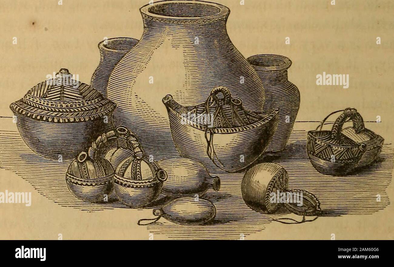 Fiji and the Fijians . ery 54: FIJI AND THE FIJIANS. house ; and as they are not very durable, the demand is brisk. I sawone large pot capable of holding a hogshead, and having four apertures,to facilitate its being filled or emptied. Ordinary cooking vesselscontain from five to ten gallons, and their shape seems to have beensuggested by the nest of a sort of black bee common in the islands. Inthe manufacture of their pottery, the Fijians employ red and blue claystempered with sand: their apparatus consists merely of a ring-likecushion, four flat mallets, [taia,) and a round flat stone; and ye Stock Photo