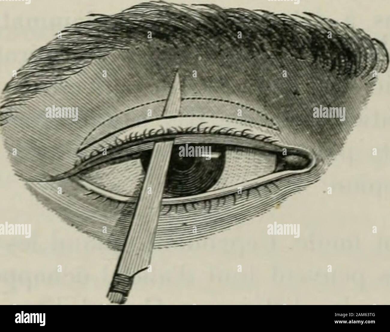 Potasse High Resolution Stock Photography And Images Alamy