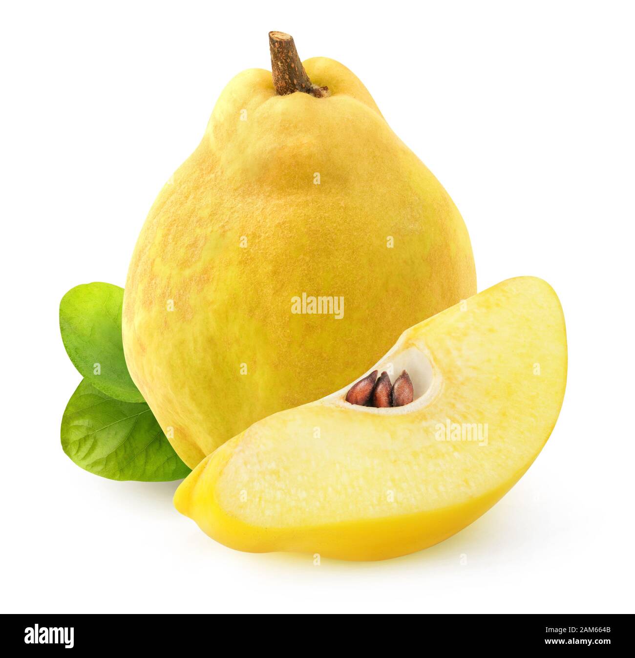 Isolated quince. One whole quince fruit and a wedge isolated on white backfround with clipping path Stock Photo