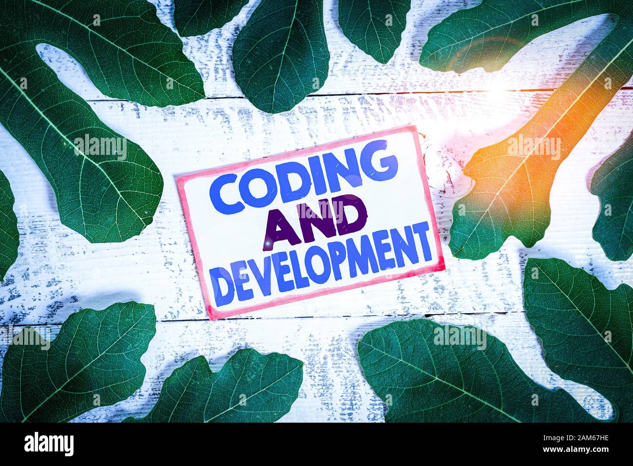 Text sign showing Coding And Development. Business photo text Programming Building simple assembly Programs Stock Photo
