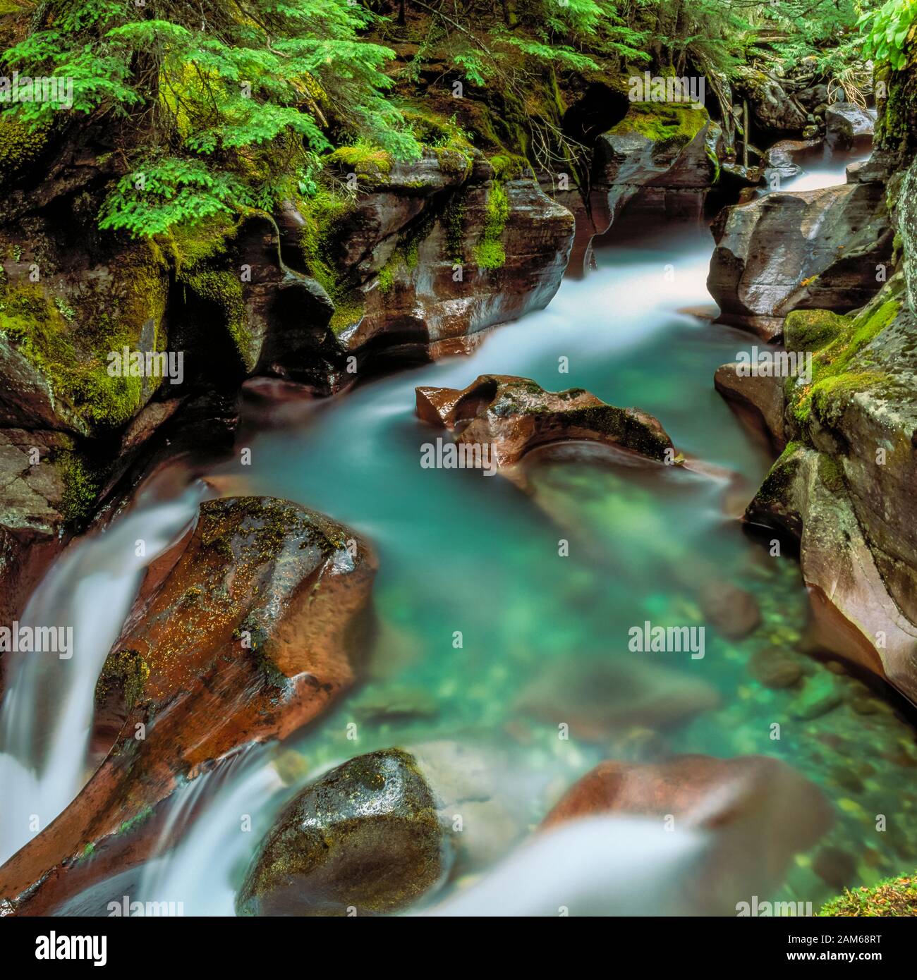 Avalanche Creek Flowing Through A Narrow Gorge In Glacier National Park Avalanche Creek Flowing Through A Narrow Gorge In Glacier National Park