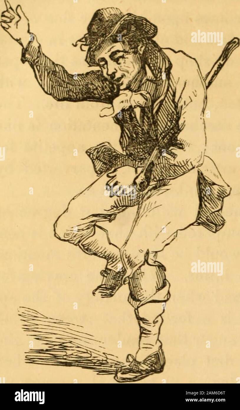 Comparative physiognomy; or, Resemblances between men and animals . e intoxicates the bodies of his victims. This is a speciesof intoxication as much worse than the other as the soul issuperior to the body. The preceding gentleman would neverbe engaged in so mean an employment as keeping a drinking-house: he would not steal the pleasure and the profit, andleave the penalty to another. On the next page is a dog thatlooks as if he would like to join him in his gambols; and theresemblance between them shows that they would be fond ofeach others society. He is a drovers dog, and may meetthis gentl Stock Photo