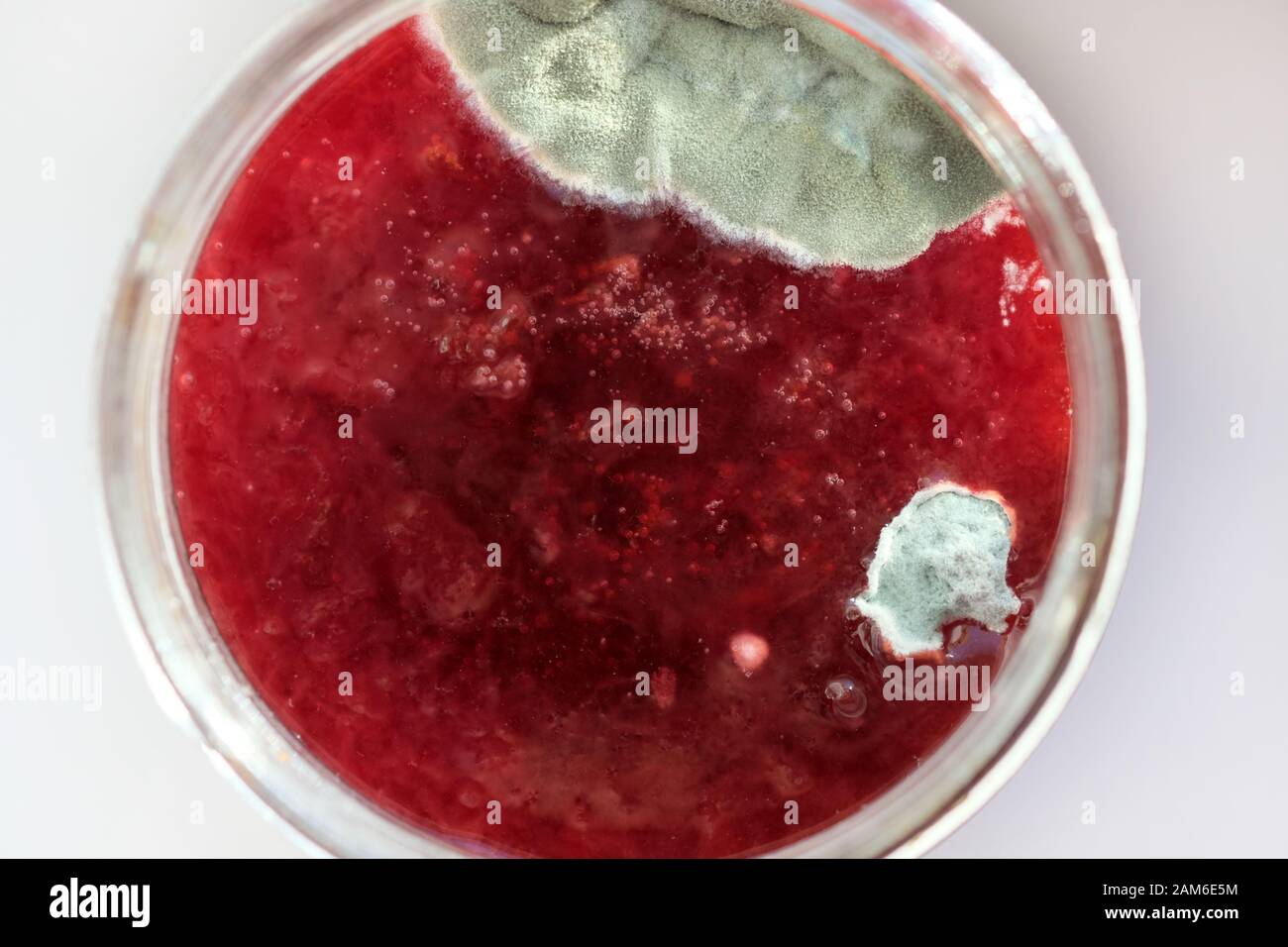 Mold on berry jam in a jar top view. Mold spores on conservation