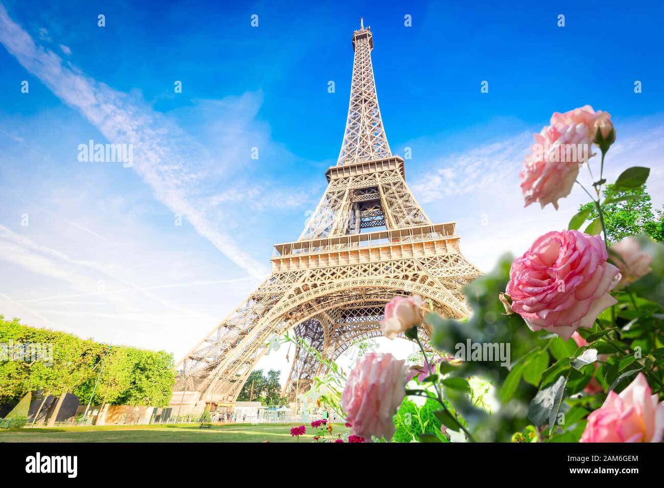 Paris Eiffel Tower with summer flowers in Paris, France. Eiffel Tower is one of the most iconic landmarks of Paris. Stock Photo