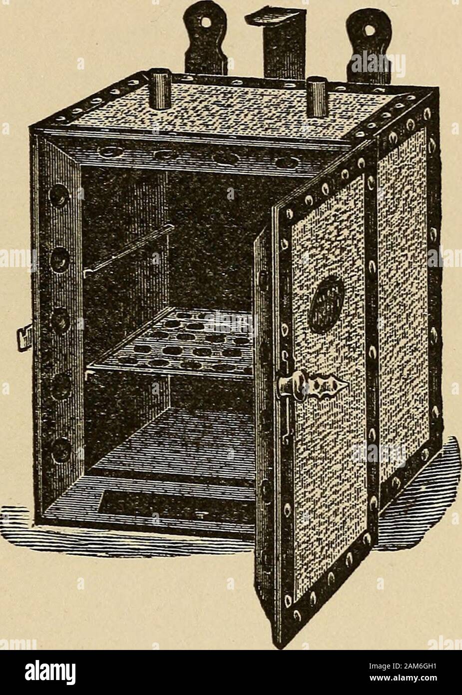 Spore forming bacteria hires stock photography and images Alamy