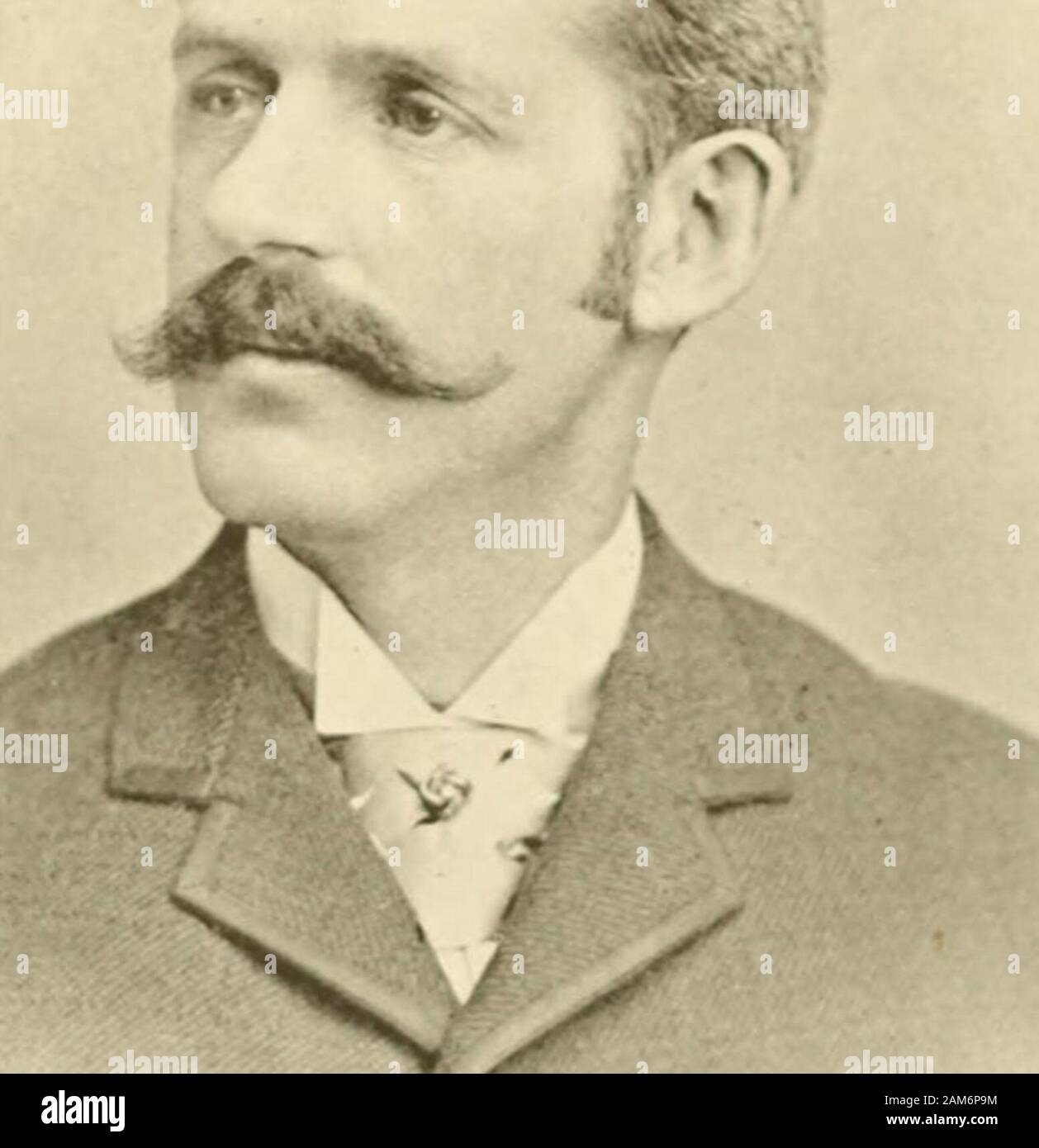 Furd Stock Photos Furd Stock Images Alamy