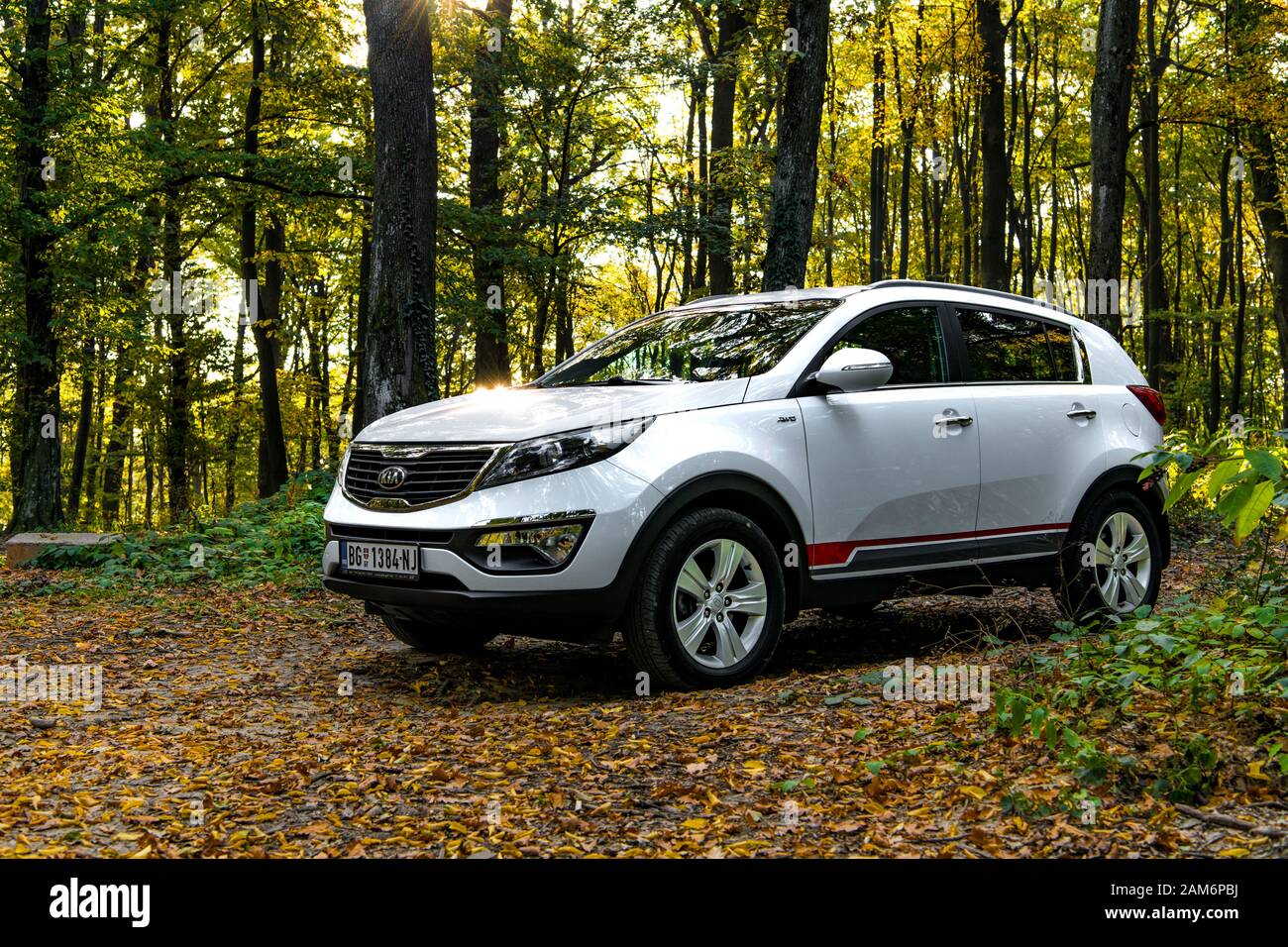 SUV car Kia Sportage 2.0 CRDI awd or 4x4, on the forest road, coverd with  dried leaves, beautiful car landscape, with dominant autumn colors Stock  Photo - Alamy