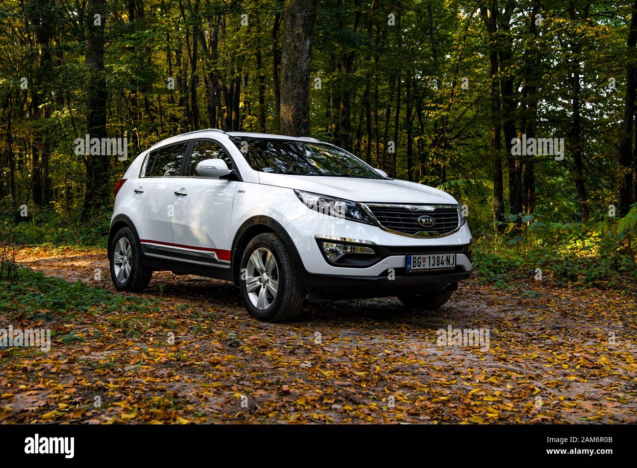SUV car Kia Sportage 2.0 CRDI awd or 4x4, on the forest road, coverd with  dried leaves, beautiful car landscape, with dominant autumn colors. Stock Photo