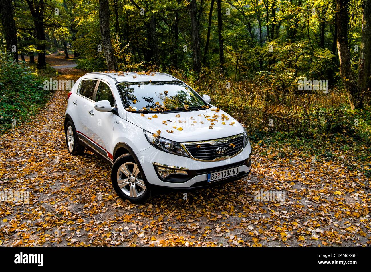 Stunning Cars Similar To Kia Sportage Pictures