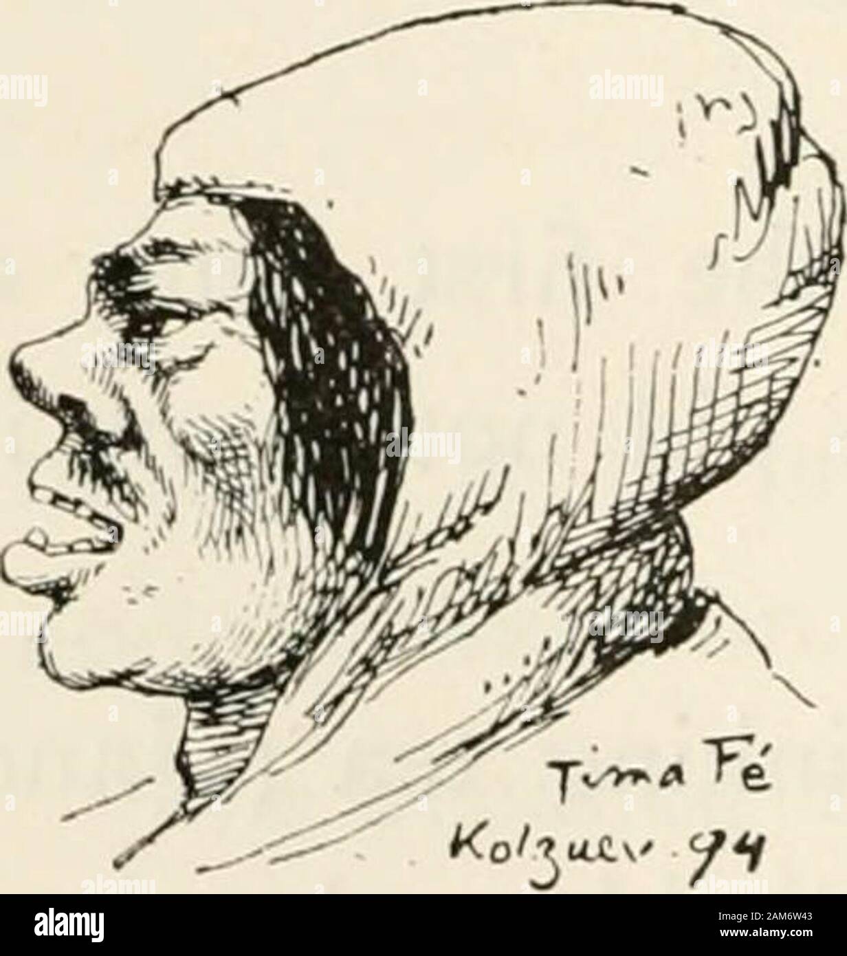Ice-bound on Kolguev : a chapter in the exploration of Arctic Europe to which is added a record of the natural history of the island . neath whichappeared long locks of straight black hair. His mouth,enormous and wide open, was hedged by a bristling-row of ape-like teeth, and altogether there was some-thing so ogreish and strange about this apparition thatI stared speechless, at which they roared with laughter,and then arose a shout, Tima Fe! Tima Fe! Itwas Tima Fe, a Samoyed from the other boat. Hegrinned at his reception, and when he grinned he reallyseemed to lose himself behind his mouth. Stock Photo