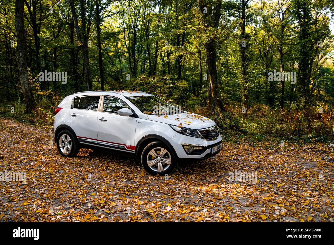 SUV car Kia Sportage 2.0 CRDI awd or 4x4, on the forest road, coverd with  dried leaves, beautiful car landscape, with dominant autumn colors. Stock Photo
