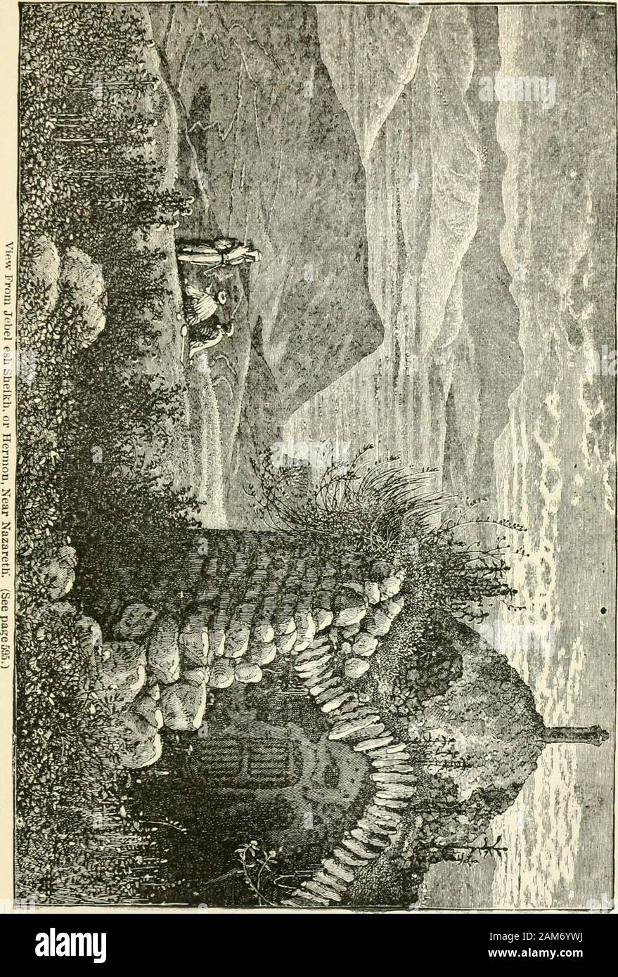 The Holy Land and the Bible; . ^ journeyed at their ease. At one place wheat wasgrowing both right and left of the track. More stone cow-housesappeared on ledges of the hills, and new clusters of black tents andreed houses on the low ground. There were in all twenty-four of thesehouses in one village, some with the round top covered with camel-wooltent-cloth. A camel and some horses and cattle were about, and somevery dirty children, in great glee, driving three kids. A man sat out-side one of the houses, weaving in a rude frame the reed mats of whichthey are built; the reeds, twelve feet high Stock Photo