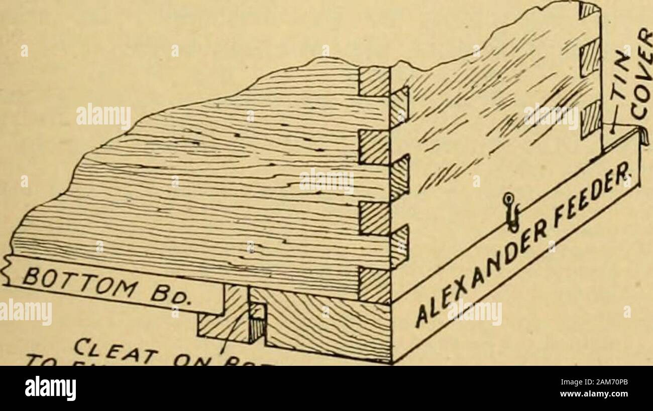 Gleanings In Bee Culture F A Quiet Contented Disposi Tion They