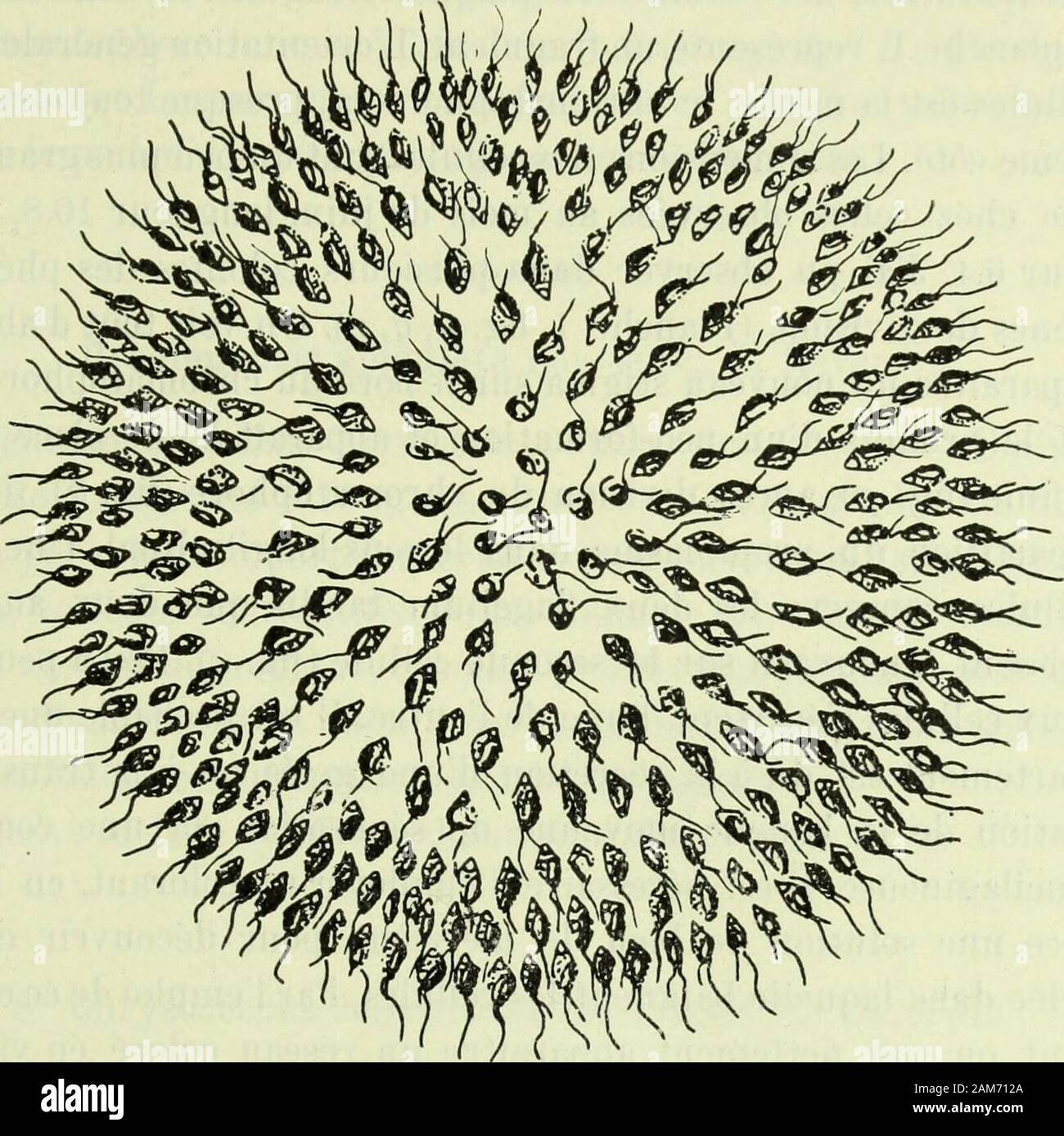 Page 3 - Le Doute High Resolution Stock Photography And Images - Alamy