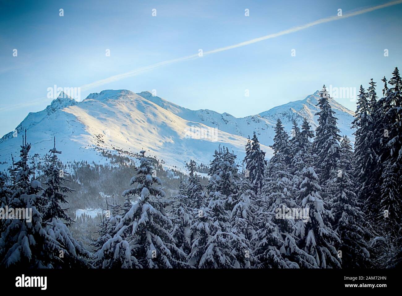 Austria, panoramic winter view the Tauern Alps mountains covered by snow framed by fir trees along the alpine route from Pass Thurn to Mittersill in a Stock Photo