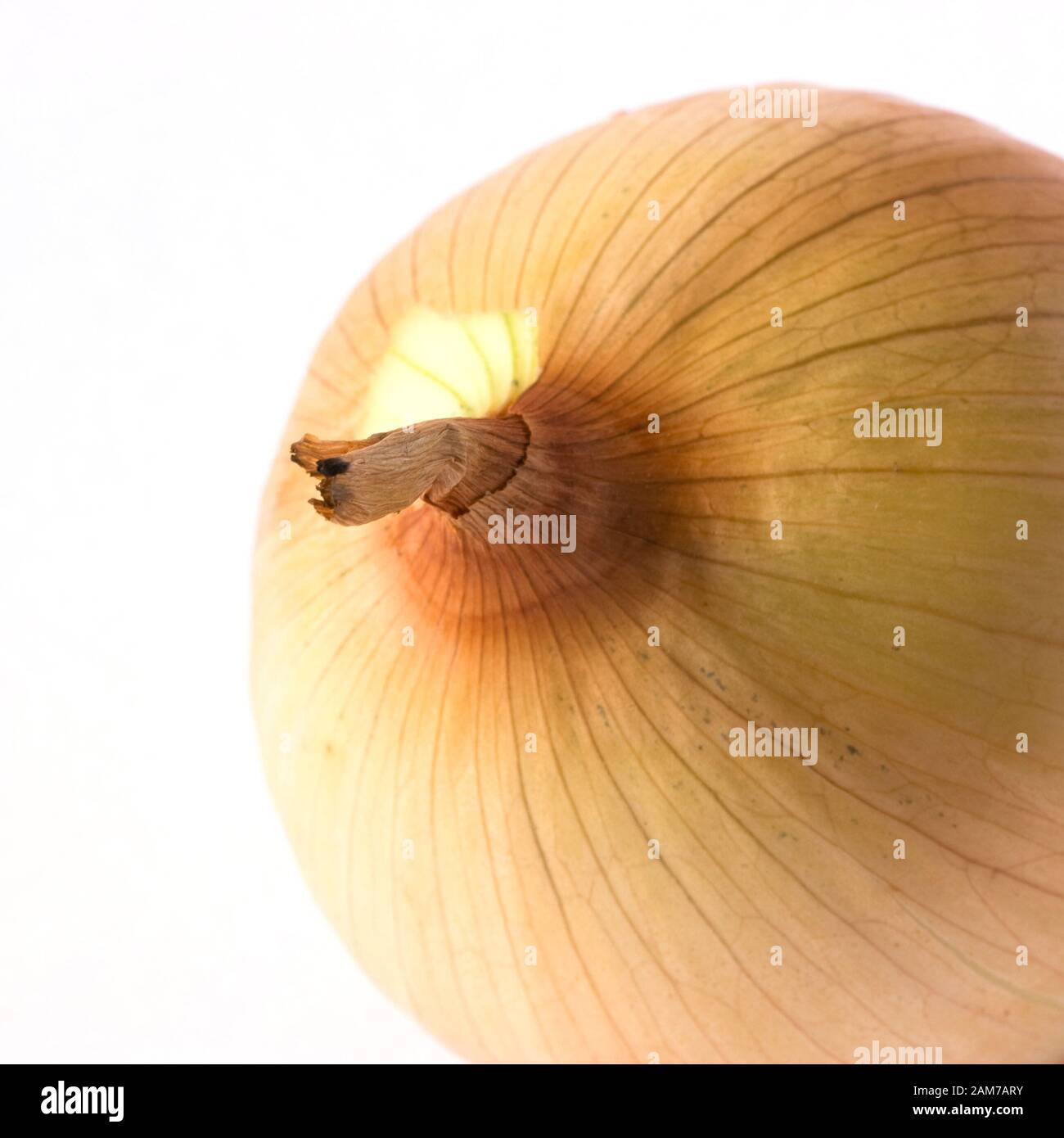 Onion skins on white hi-res stock photography and images - Alamy