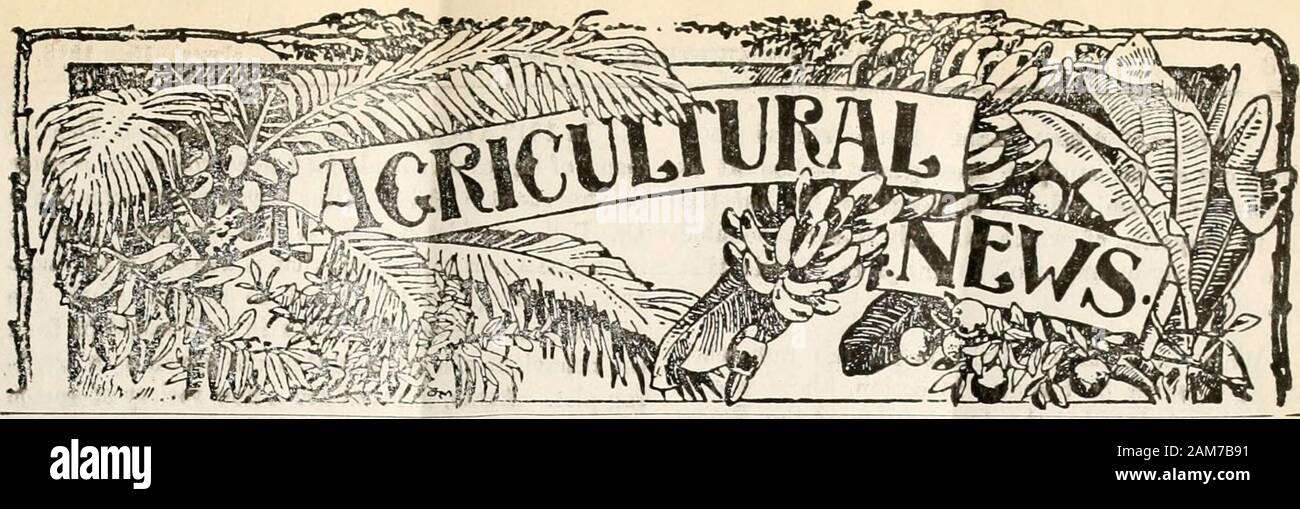 Agricultural news . ziland. Southern Rhodesia. MadagaHcar. British East Africa. Gorman East Africa. Portuguese Fast Africa. Portuguese West Africa. ItoP- Aiiientinc Hepublle. Queensland. United SUtes of America. New South Wale-i. W.Indies. Northern Territory of Auilr.iIia. Suil.in, WEST INDIAN AGENTS i Ml, KITTA: S. L. Mor.Mord & Co. ANTiaUA: Bennett, aifMBaOi JAMAICA: D. Henderson ft Co., Klngsteo. ci:.:...: Thomson. Mankey & Co. BARBADOS: Barbsdo.i Co-operative Cotton C«.. LjMk BAHAMAS: W. N. Twynam. Nauaa. TRINIDAD: T. Oeddes Ornnt. Port ol Spsla. BRITISH OUIANA: iandboch, Parker « Co. tr Stock Photo