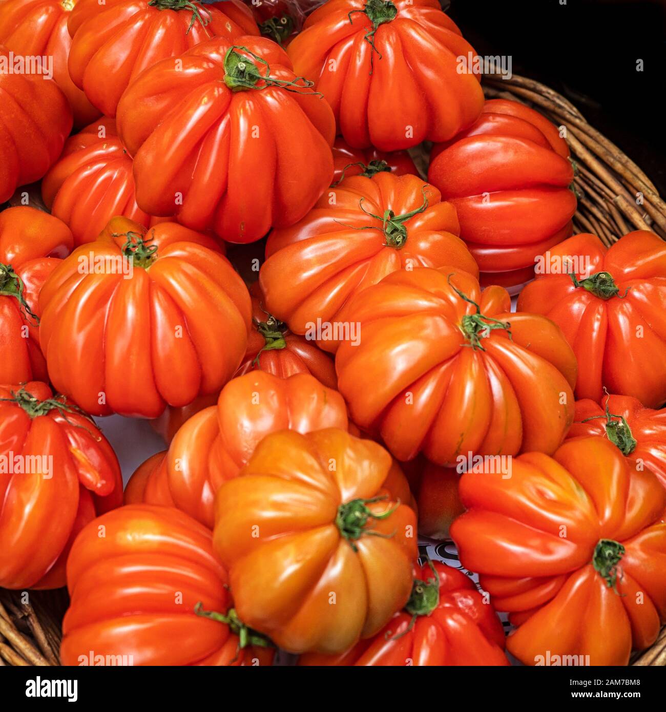Large ripe Oxheart Tomatoes in a basket at a food market Stock Photo