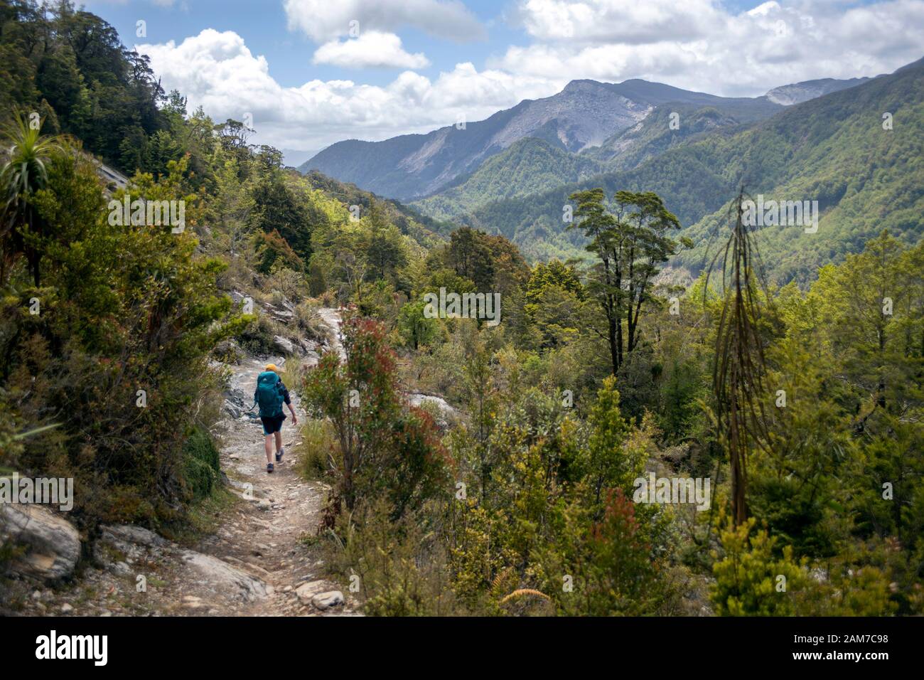 Walking the Old Ghost Road trail, Lyell to Seddonville, New Zealand. Dramatic geology between the Skyline Steps and Stern Valley hut Stock Photo