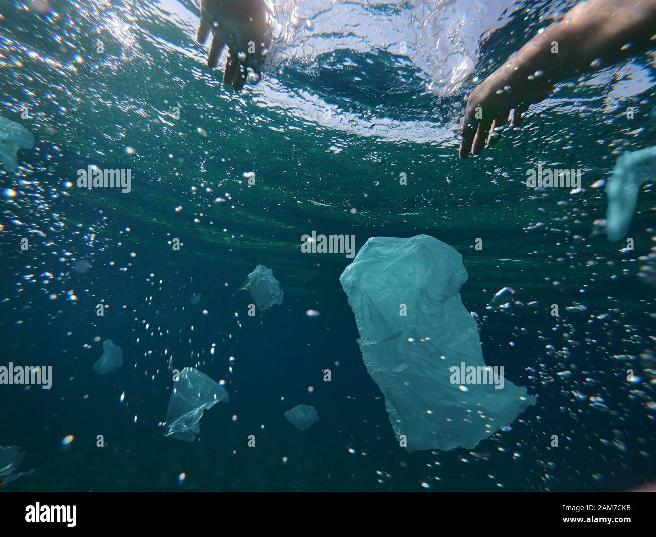 A man swimming among toxic plastic wastes floating in the ocean Stock Photo Alamy