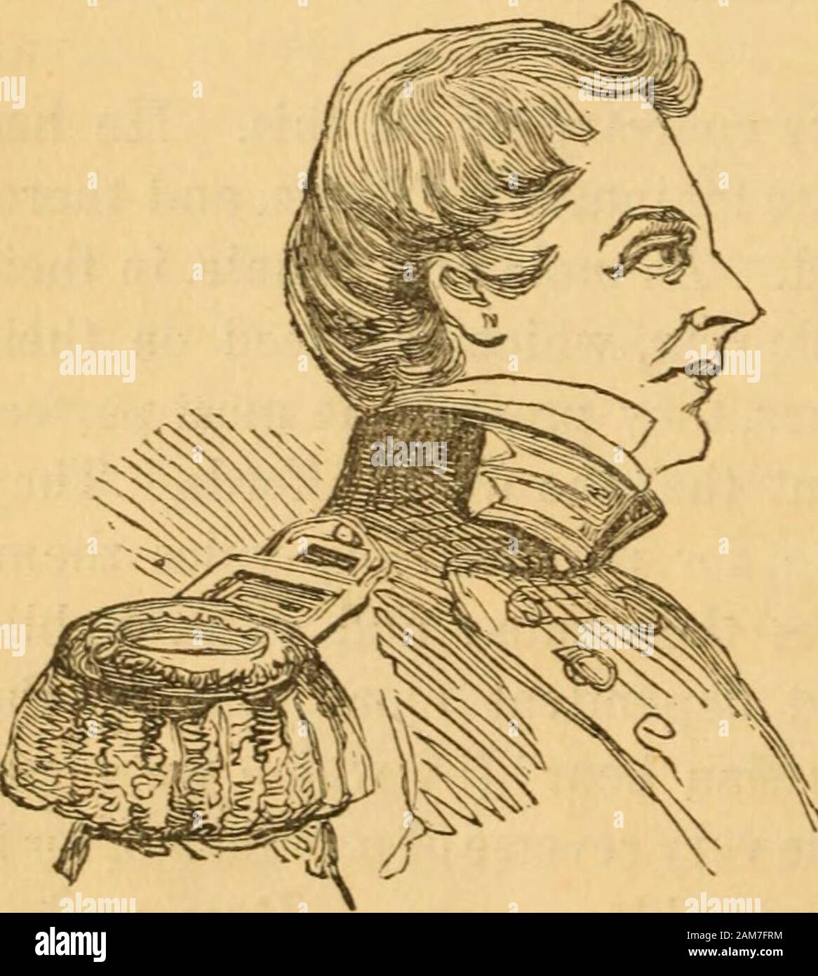 Comparative physiognomy or Resemblances between men and animals