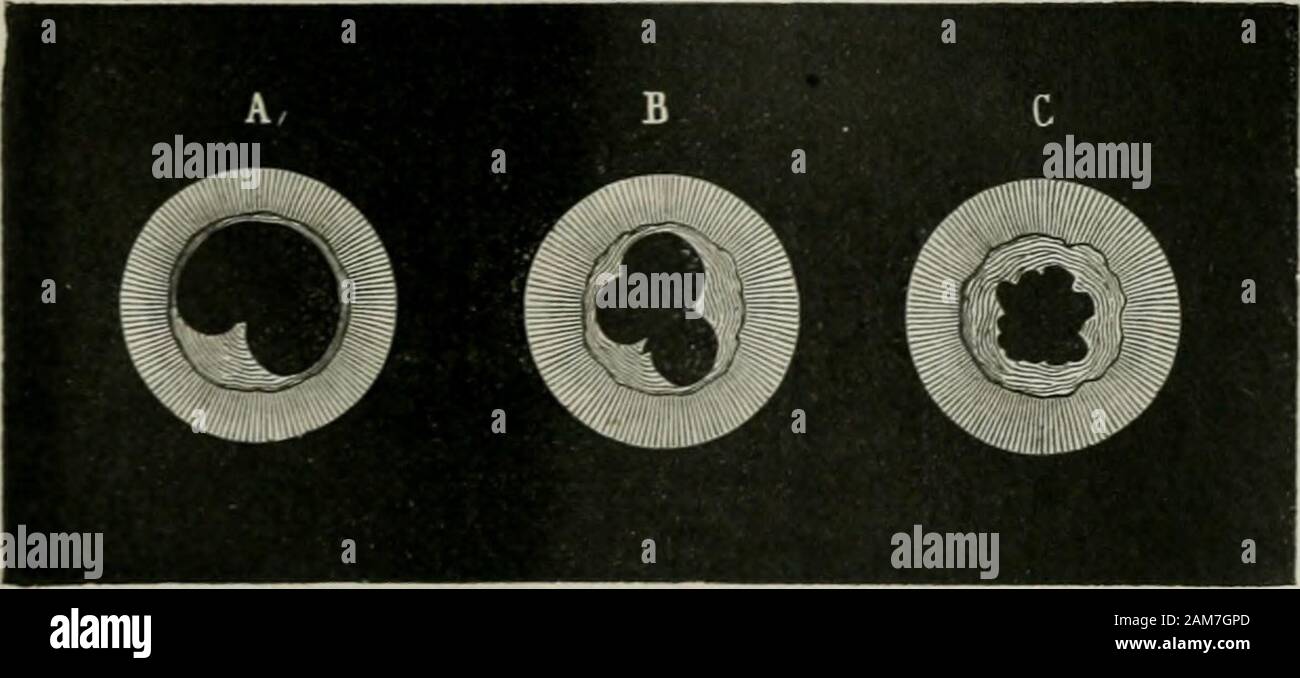 Laction Hi Res Stock Photography And Images Page 3 Alamy