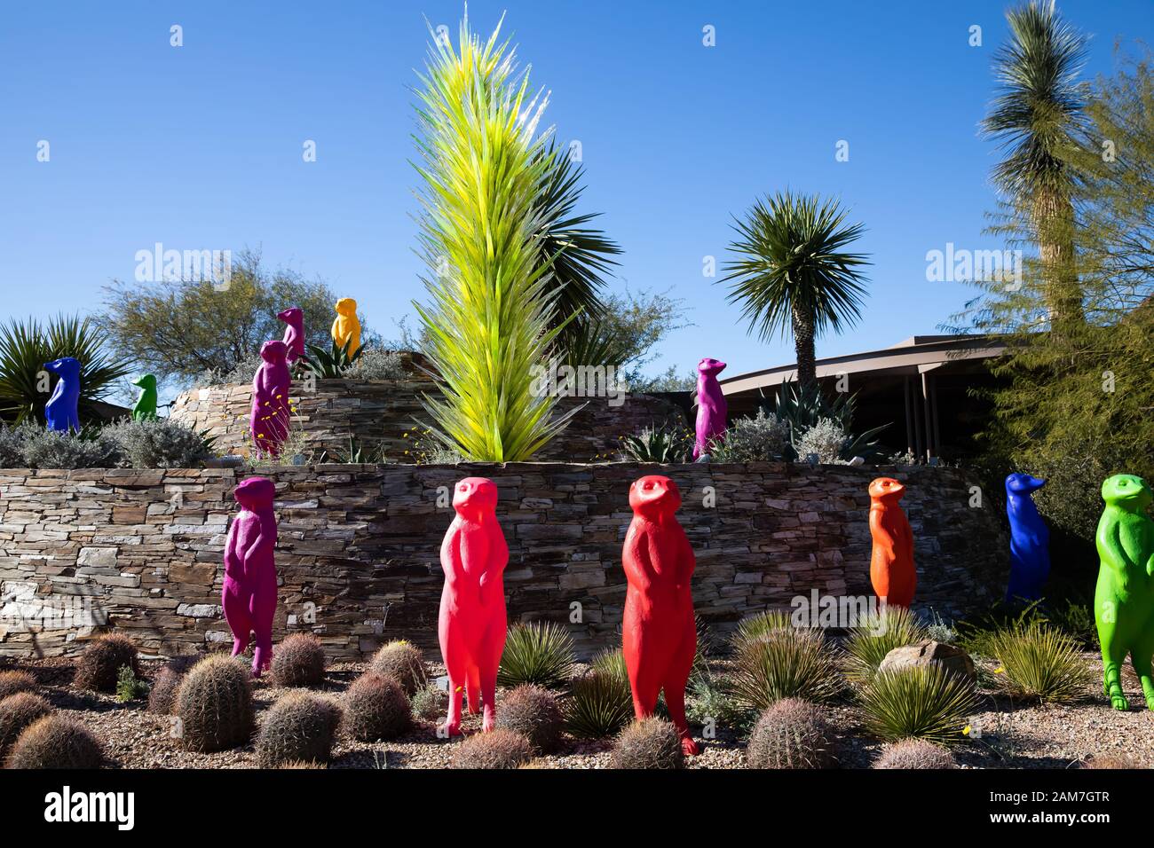 Desert Botanical Gardens In Phoenix Arizona Usa Stock Photo