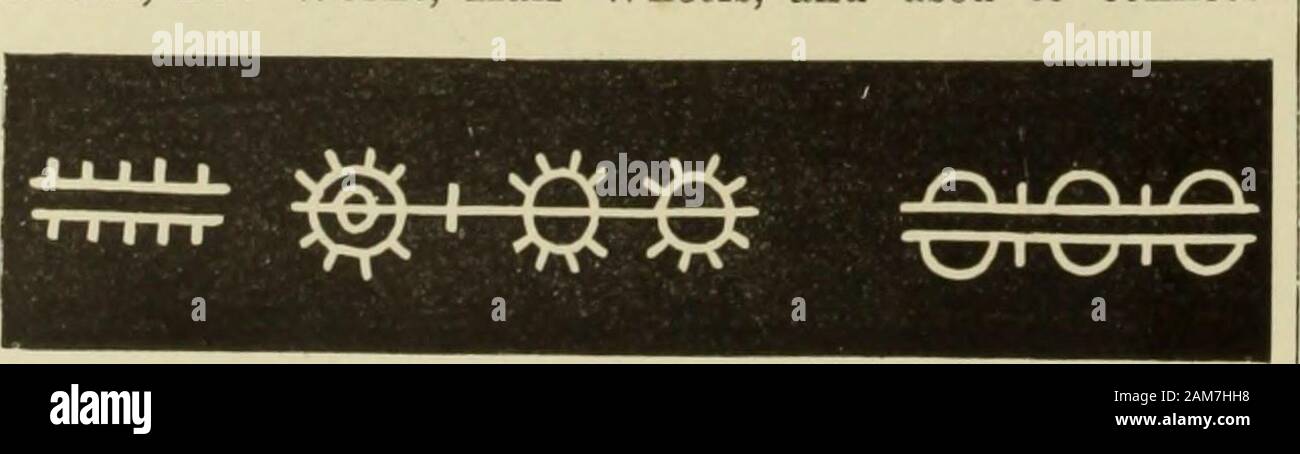 The Dictionary Of Needlework An Encyclopaedia Of Artistic Plain