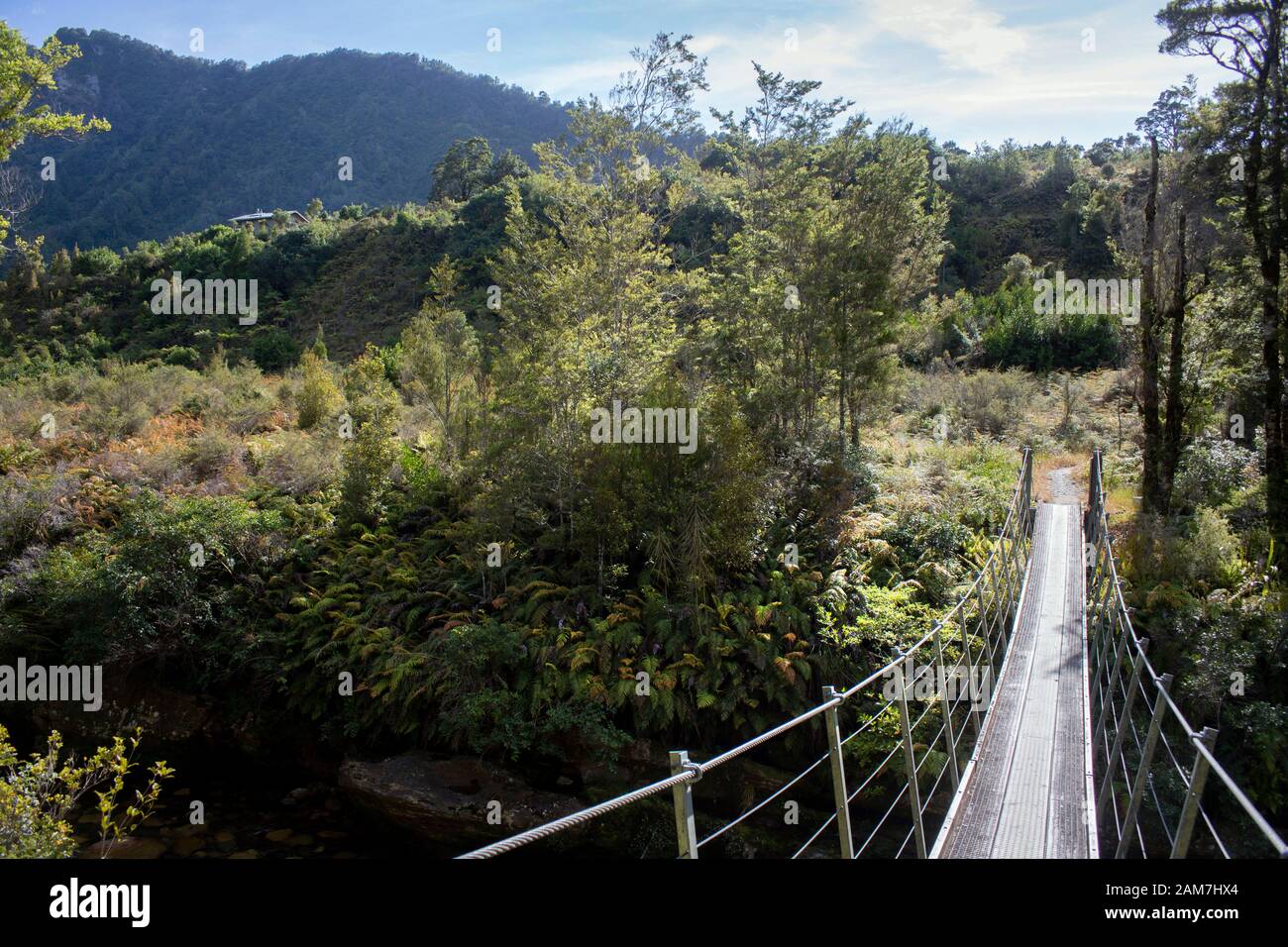 Walking the Old Ghost Road trail, Lyell to Seddonville, New Zealand