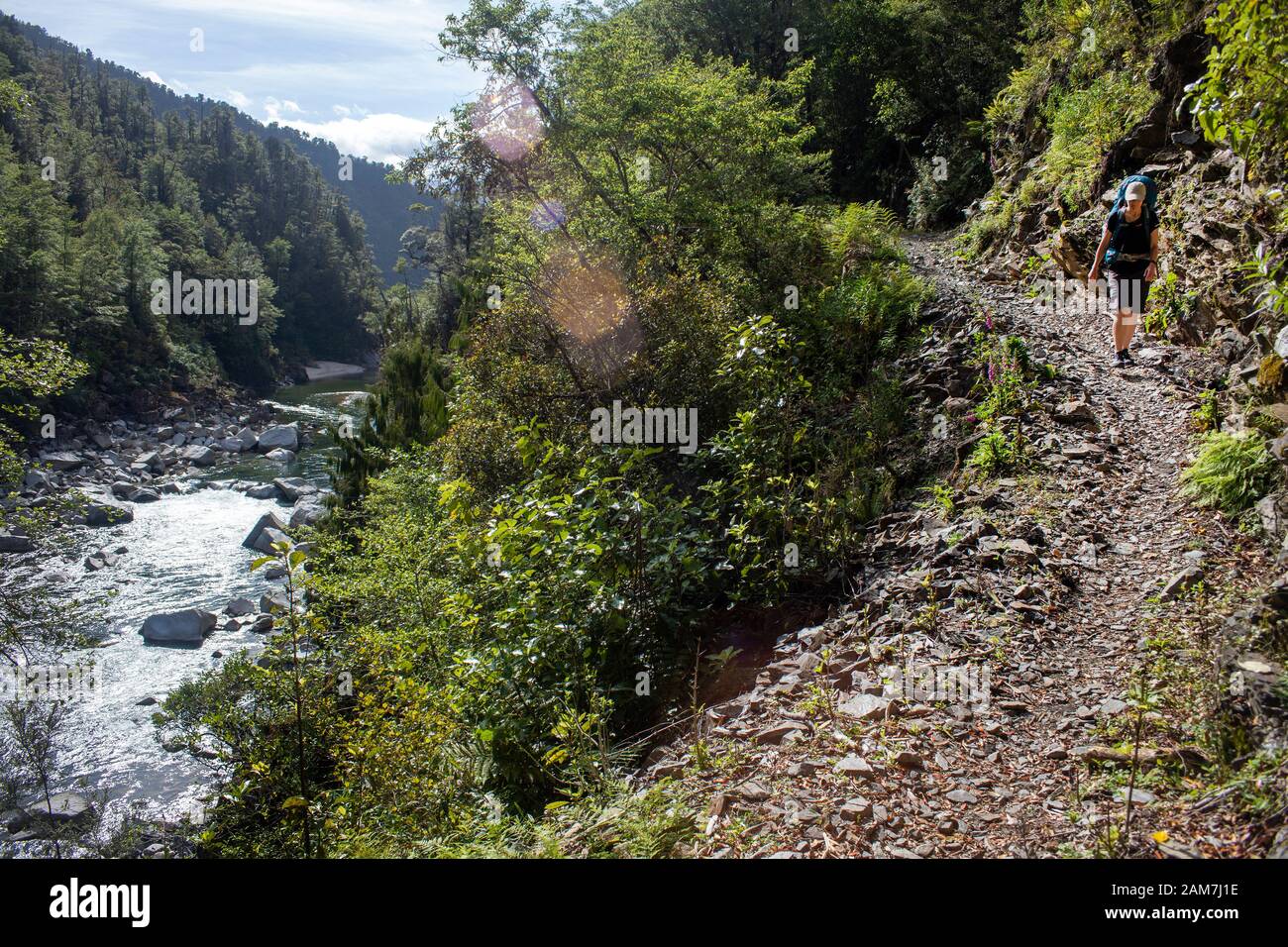 Walking the Old Ghost Road trail, Lyell to Seddonville, New Zealand