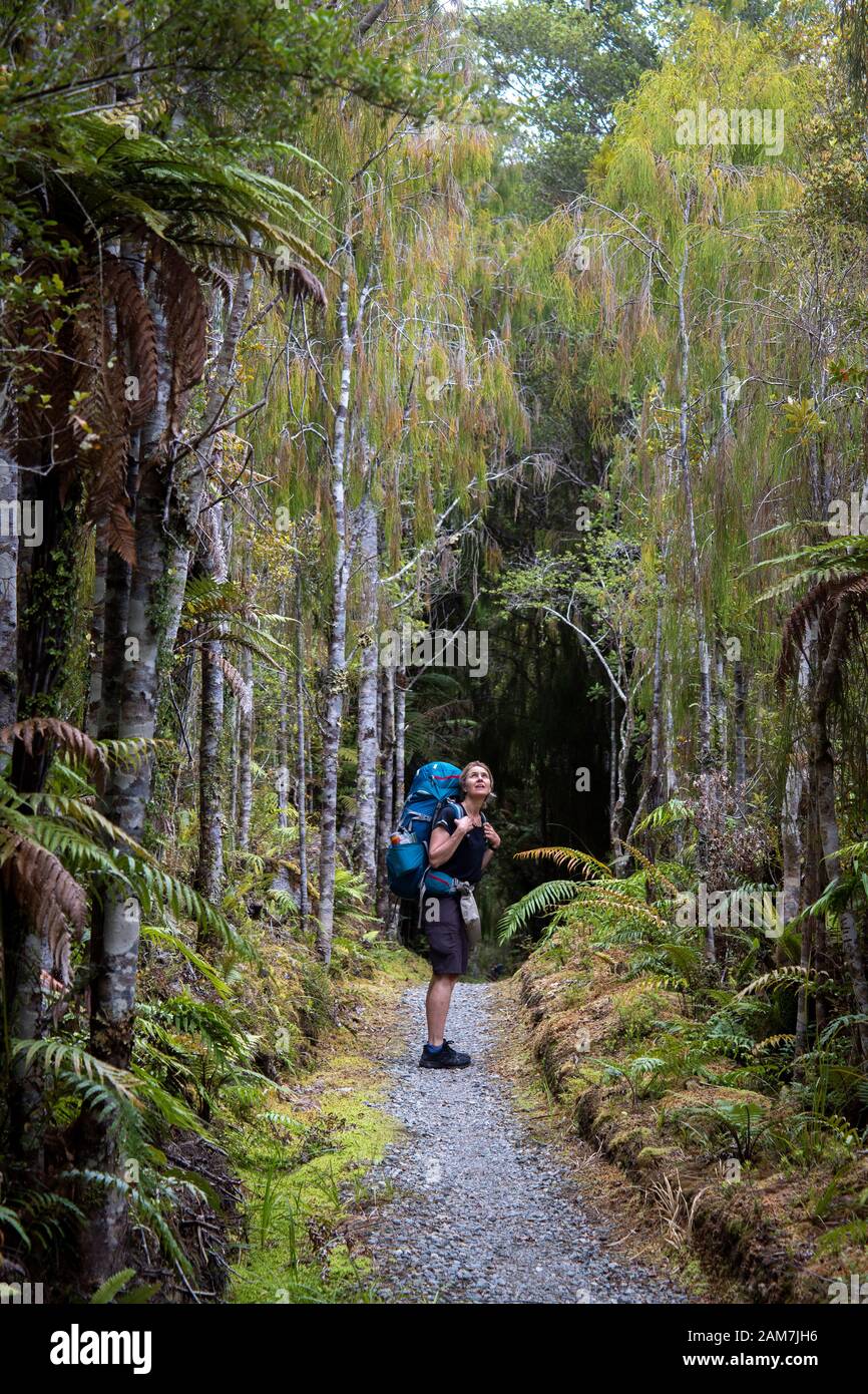 Walking the Old Ghost Road trail, Lyell to Seddonville, New Zealand