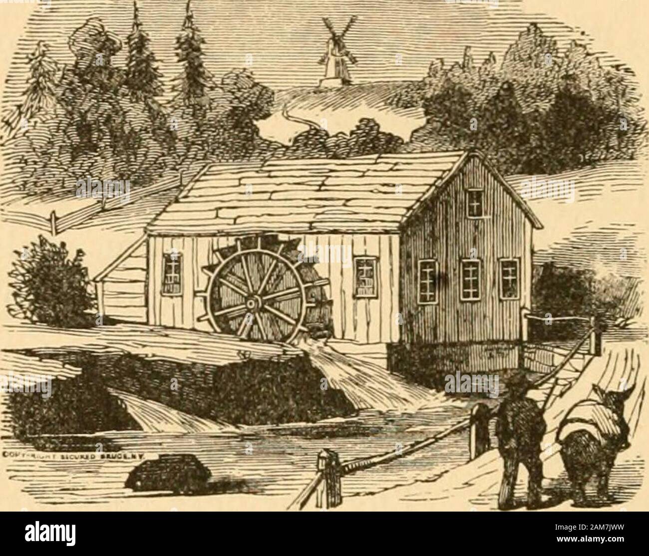 History of the town of Richmond, Cheshire County, New Hampshire, from its first settlement, to 1882 . an and John Parkhurst, jr., openeda store in 1841, in the building now used for a houseby Richard Fisher. The business was discontinuedafter a trial of four or five years. The Union store, at the middle of the town wasbuilt in 1855, and was owned by a joint stock com-pany. The business done here, although consider-able, proved in the end disastrous to the stockholders,caused either by mismanagement on the part of thedirectors, or else by the incompetency of the agentsemployed. It was closed in Stock Photo