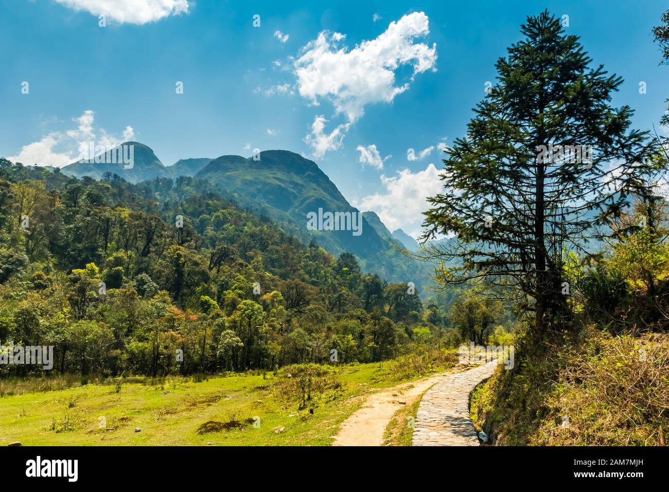 Landscape view near trail through grass hills and forests in Song Mao Nature Reserve, Fansipan, Sapa, Vietnam Stock Photo