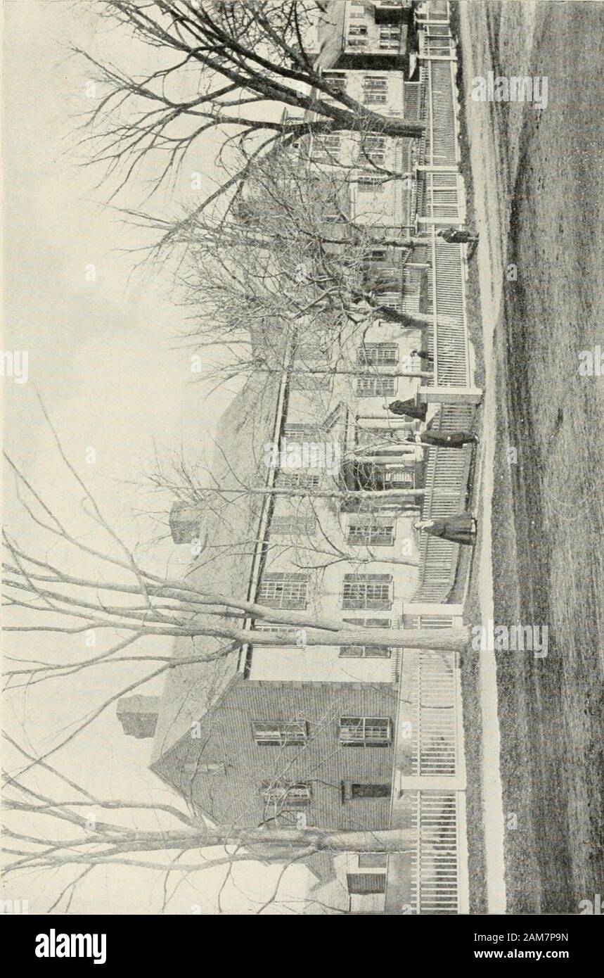 humbler high resolution stock photography and images alamy