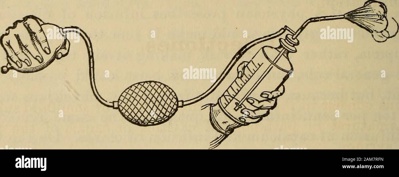 A companion to the United States pharmacopia; . Fig. 327.—Steam Atomizer..  Fig. 328. —Hand Atomizer. which consists of a rubber bulb, by the  compression of which a jet ofair is made to