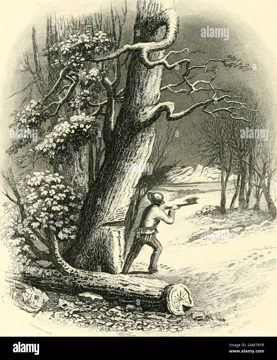 Haunted gallery hires stock photography and images Alamy