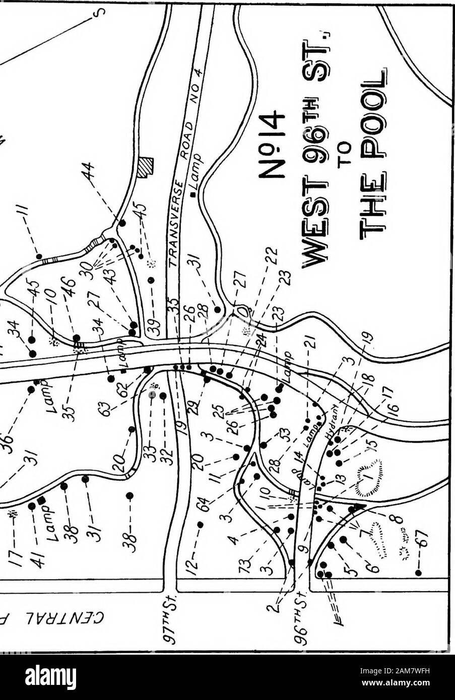 Trees and shrubs of Central Park . Explanations, Map No. 14 Common Name 1. Lombardy Poplar. 2. Crimean Linden. 3. Pin Oak. 4. English Elm. 5. Sugar or Rock Maple. 6. Norway Maple. 7. Thunbergs Spindle Tree, Winged Spindle Tree. 8. American or White Elm. 9. Japonicum or Japan Vi- burnvim. 10. Fragrant Honeysuckle. 11. Red Maple. 12. American Cork Elm, Rock Elm. 13. Holly-leaved Barberry, Oregon Barberry, Ash-berry. 14. Rhodotypos. 15. Sorrell Tree, Sourwood. 16. Mock Orange or Sweet Syringa. 17. Wild Red Osier. 18. Tree Box or Boxwood. 19. Staghorn Sumac. 20. Mockemut or Whiteheart Hickory. 21. Stock Photo